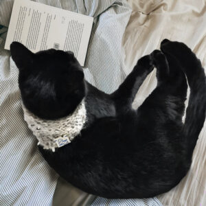 Petit foulard Louise pour chat